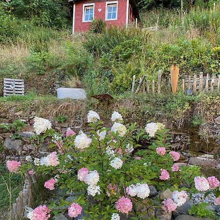 Ferienwohnung Matilde Bad Grund Exterior foto