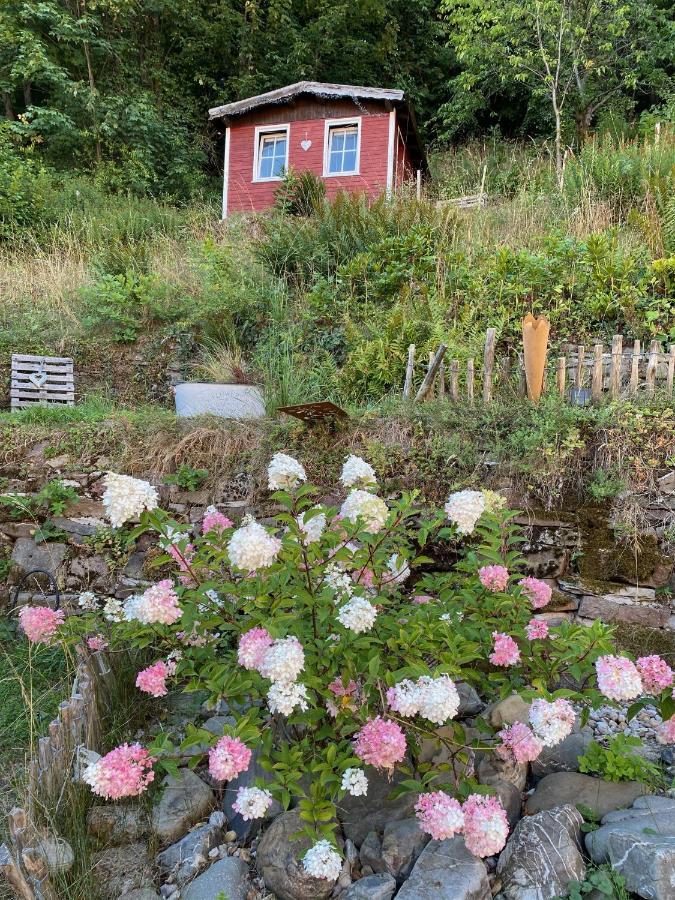 Ferienwohnung Matilde Bad Grund Exterior foto